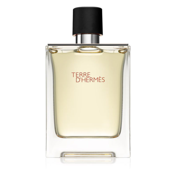 Hermès Terre d’Hermès Eau de Toilette 100ml