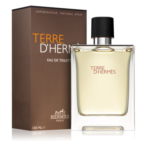 Hermès Terre d’Hermès Eau de Toilette 100ml - immagine 2